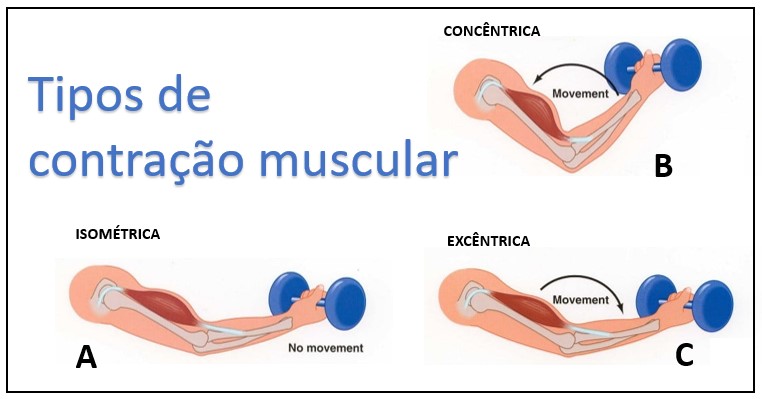 Distensão Muscular - Dr. João Hollanda