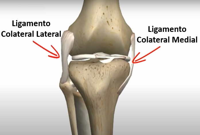 Ligamento Do Joelho Dr Jo O Hollanda Especialista Em Joelho